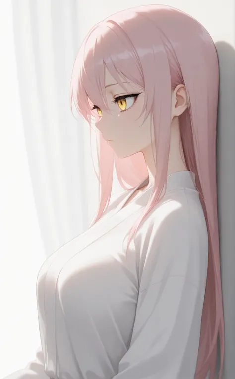 masterpiece, newest, Best Resolution, HD Quality, good lighting, safe. beautiful, adult, anime, good anatomy, .  Pale pink hair , Hair below the shoulders. Golden-yellow eyes, dark eyelashes, piel clara, slim build, Medium Breasts Size D. She is 24 years o...