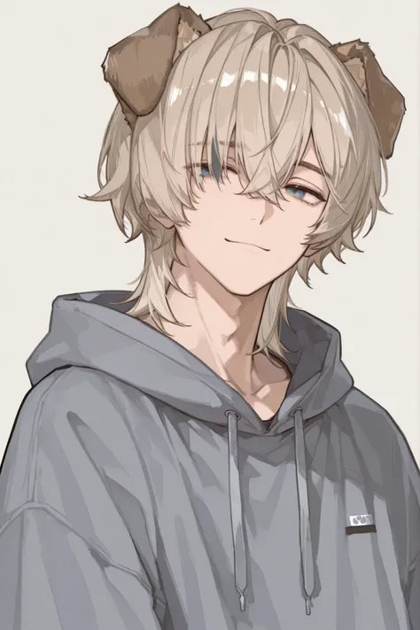male, youth,light brown hair, broken bangs ,grey hoodie,Confident Smile, no background ,Dog ears