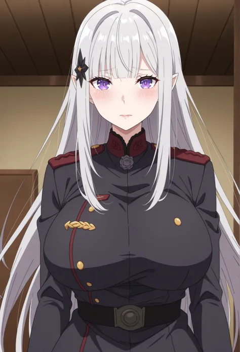 score_7_up, anime screencap, adult ReZero, Solo, long dress, Satella, Anime, 1girl, Mature Female, pointy ears, hair ornament, blush, silver hair, long hair, closed mouth, lips, purple eyes, big breasts, view detailed body, ((lady, military uniform, ww1ge...
