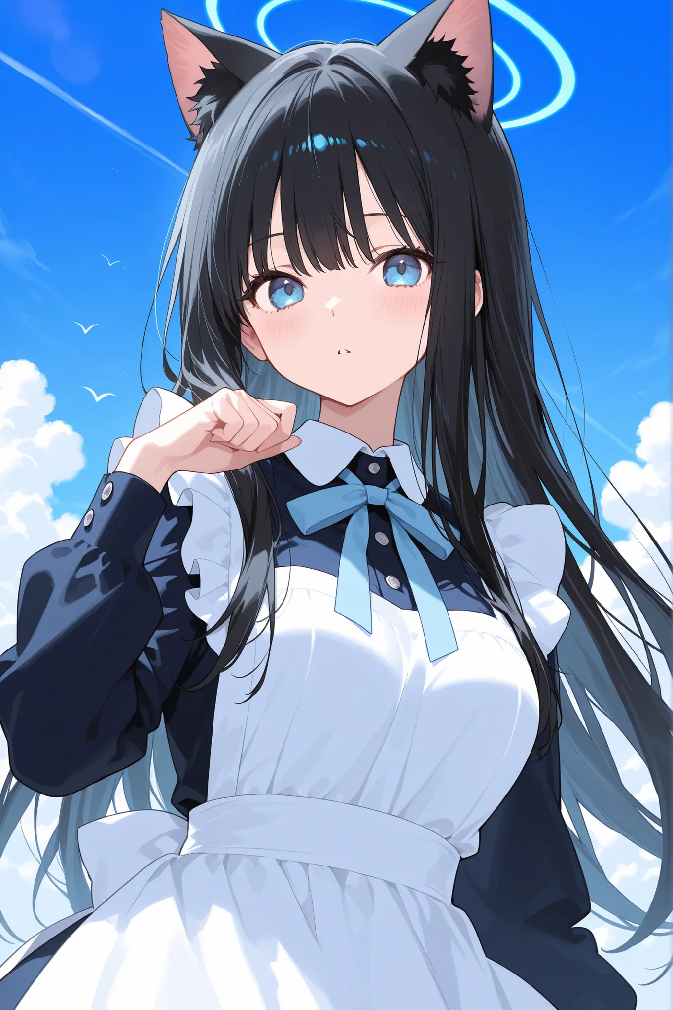 long black hair、Cat ears、 sky blue eyes