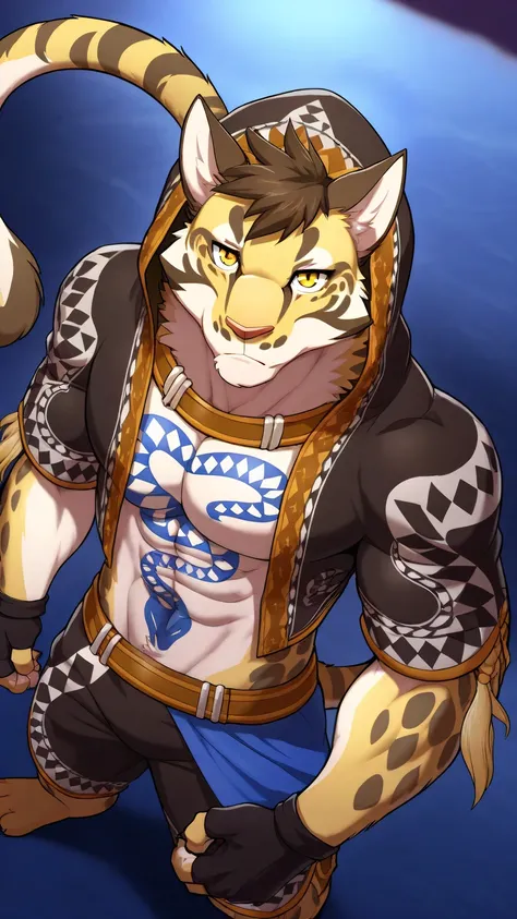 likulau, solo, furry, clouded leopard, tail, perfect eyes, yellow eyes, muscular, toned male, large pectorals, dynamic angle, from above, hood, open jacket, fingerless gloves, black shorts, close up, posing, unparalleled masterpiece, amazing quality, best ...