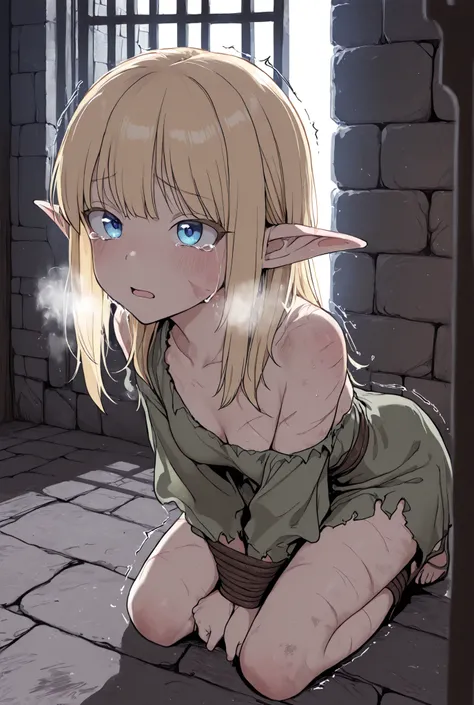masterpiece, ultra-detailed, Best quality
1 woman, High Elves, Long blonde, pointed ears,
restrained wrists,
An expression mixed with fear and abandonment, Moist Blue Eyes,tears
dirty elf costume,
Bruises and scars,
underground prison, Stone wall, iron l...