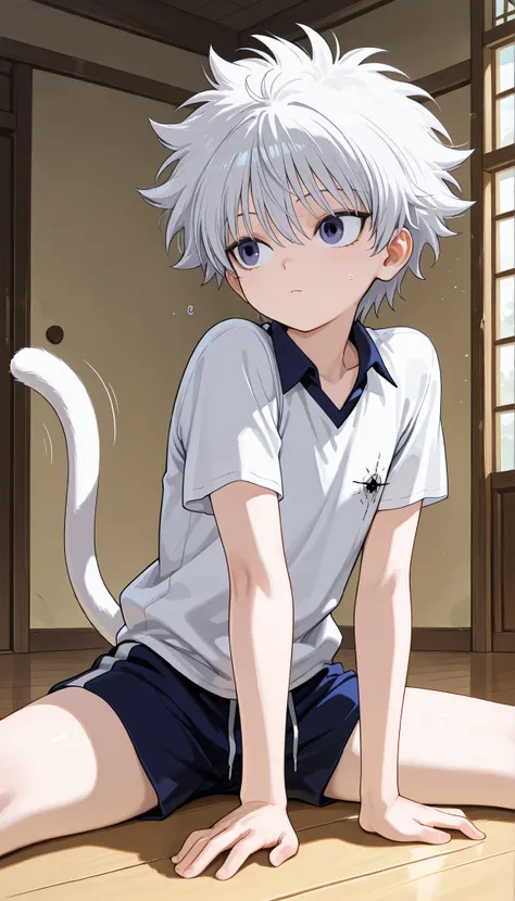 Killua does the stretching motion for cats 