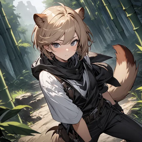 Masterpiece, High quality, Best quality, Quality masterpiece, Live2D, splash art, Focus on the face, solo man, Male, Height 164 cm. , head, Short hair, light brown hair, Black eyes, weasel ears, Long slender tail, weasel tail, wide collar, hood down, white...