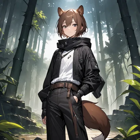 Masterpiece, High quality, Best quality, Quality masterpiece, Live2D, splash art, Focus on the face, solo man, Male, man, Height 164 cm. , head, Short hair, brown hair, Black eyes, weasel ears, Long slender tail, weasel tail, wide collar, hood down, white ...