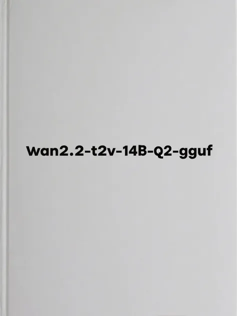 Wan2.2-T2V-A14B-LowNoise-Q2_K.gguf k