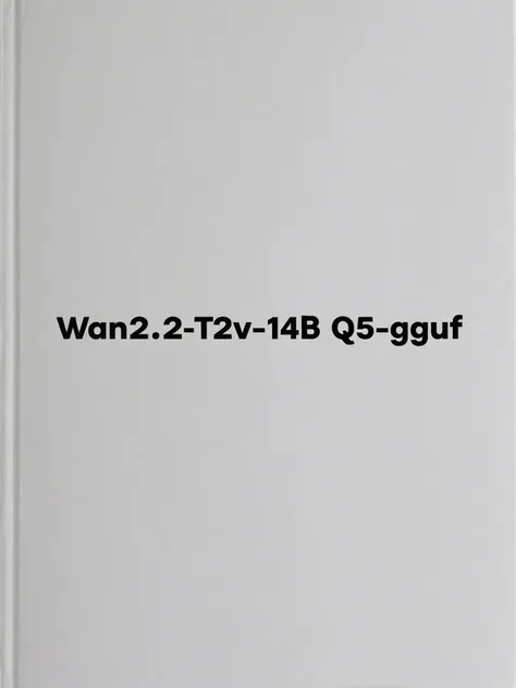 Wan2.2-T2V-A14B-LowNoise-Q5.gguf _0