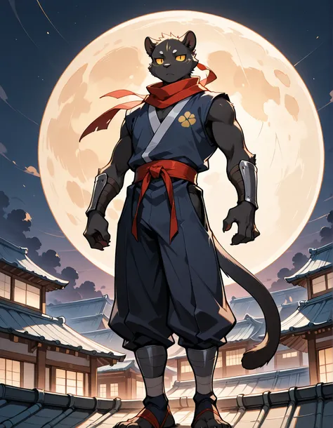 furry, male skinny black panther, standing, round eyes, ninja, ninja outfit on, ninja clothes on, japan rooftop, neck tuff, cute, claws, handsome, full moon, night, dark, perfect, detailed, perfect body type, high resolution, anatomically accurate, detaile...