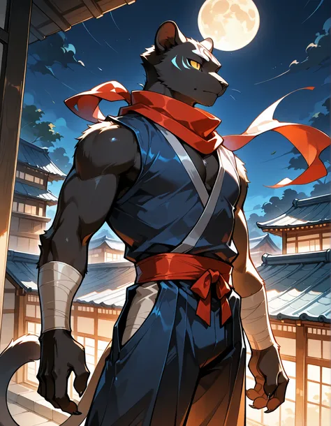 furry, male skinny black panther, standing, round eyes, ninja, ninja outfit on, ninja clothes on, japan rooftop, neck tuff, cute, claws, handsome, full moon, night, dark, perfect, detailed, perfect body type, high resolution, anatomically accurate, detaile...