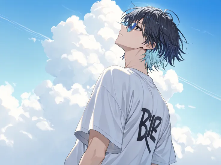 ((solo, anime))、(( male))、black eyes、2 color hair、dark haired、Blue hair、Black-Blue、hair is a mess、upper body、facing up、Large white T-shirt、Blue Sky、 White Clouds 、summer、Light Blue Sunglasses、unmotivated、Back view、distant angle、The sky is high、