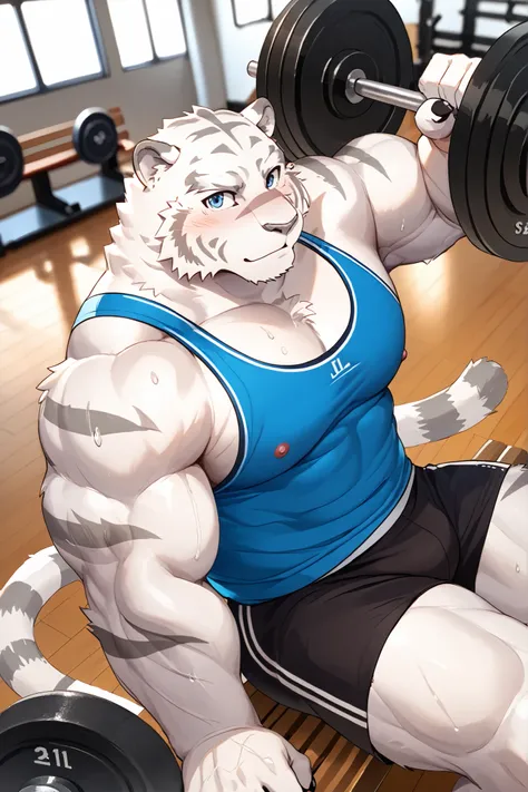 Mercenary Zero,Mercenary of Evil, mammal,   white tiger, Fur, Grey Nose, Big Shot,  sports gym, weightlifting, Bench press, Bench pressに横たわる,  vest, sportswear, Sweat, 滴るSweat, heavy breathing,  sexy pose,  check out here , Blank expression , Seen from Abo...