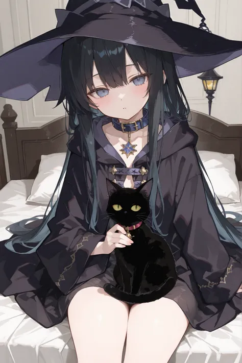 (((Best quality, 8k, Masterpiece: 1.3)), ((best quality)), ((masterpiece)), (detailed), A young wizard girl. She is wearing a black witch hat and black robes. She has a large star-shaped pendant on her chest. She is holding the black cat on her lap, She ha...
