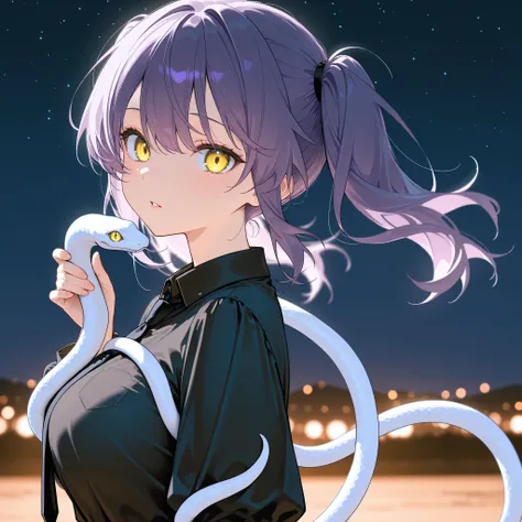 score_9, score_8_up, score_7_up, masterpiece, best quality, detailed face, 1 girl, solo, beautiful, big chest, slender body, mature, light makeup, adorable, sharp eyes, slightly parted lips,
 Medium hair, purple hair, high twintail, loose tied hair, yellow...