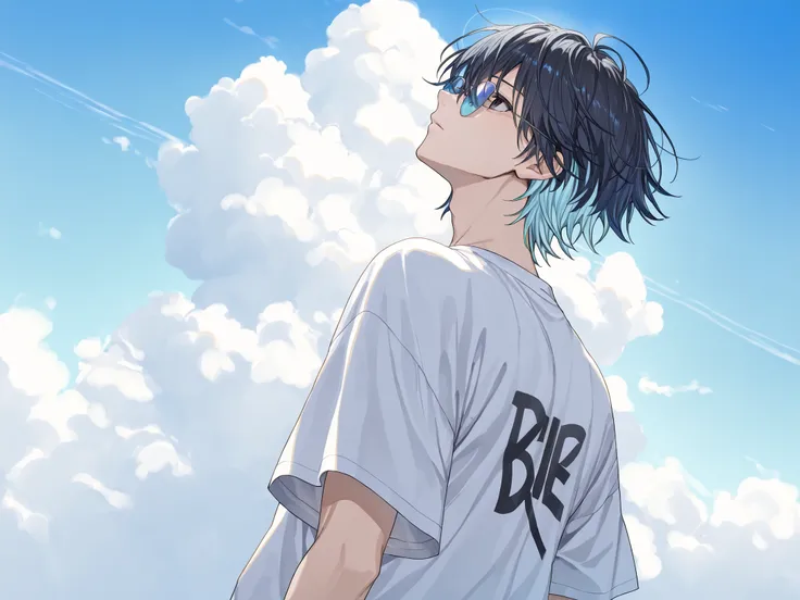 ((solo, anime))、(( male))、black eyes、2 color hair、dark haired、Blue hair、Black-Blue、hair is a mess、upper body、facing up、Large white T-shirt、Blue Sky、 White Clouds 、summer、Light Blue Sunglasses、unmotivated、Back view、distant angle、The sky is high、
