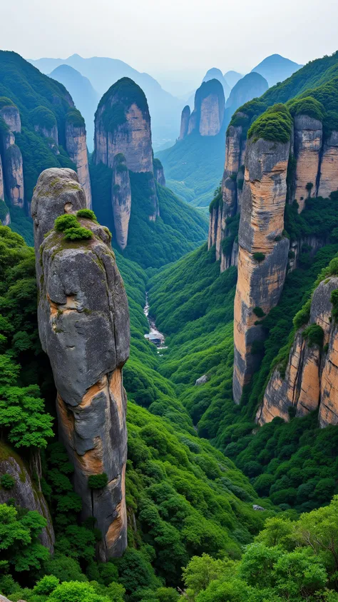 highdefinition image、Sandstone Peak in Zhangjiajie, China、There are many green-covered limestone boulders in towers and mountains
