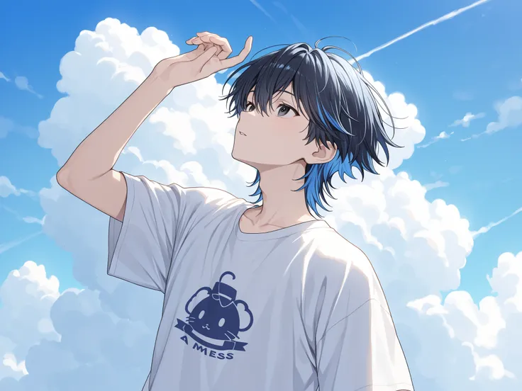 ((solo, anime))、(( male))、black eyes、2 color hair、dark haired、Blue hair、Black-Blue、hair is a mess、upper body、facing up、Large white T-shirt、Blue Sky、 White Clouds 、summer、