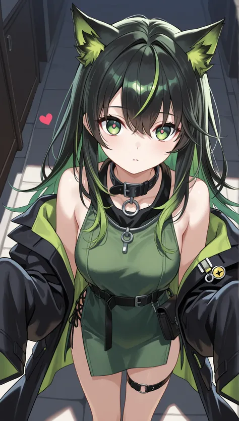 heart, from above, looking at viewer, animal ears, long hair, black hair, multicolored hair, green hair, sidelocks, hair between eyes, bangs, green eyes, collar,bare shoulders,off shoulder,black collar,black coat,open coat,green dress, sleeveless dress, si...