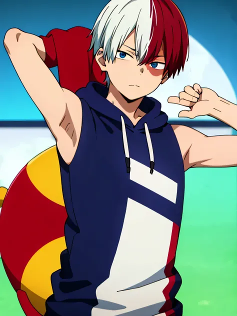 High Resolution, Masterpiece, Best quality, Top Quality, high quality, high detail, Anime Style, 1 boy, Shota, young boy, Single Person, shouto_todoroki, white hair, red hair, gray eyes, blue eyes, heterochromia, short hair, hair between eyes, bangs, multi...