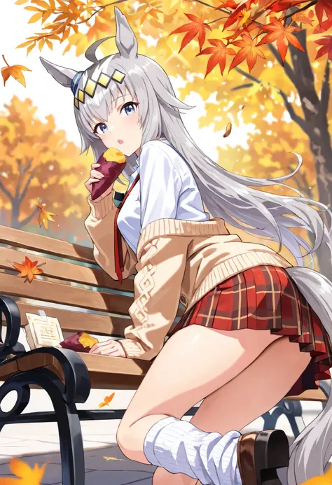 (masterpiece, best quality, perfect face:1.4), wide angle, oguri cap \(umamusume\), 1girl, blue eyes, multicolored hair, long hair, grey hair, ahoge, hair ornament, horse ears, horse tail, tail on the lower back, proportional body, proportional, beautiful ...