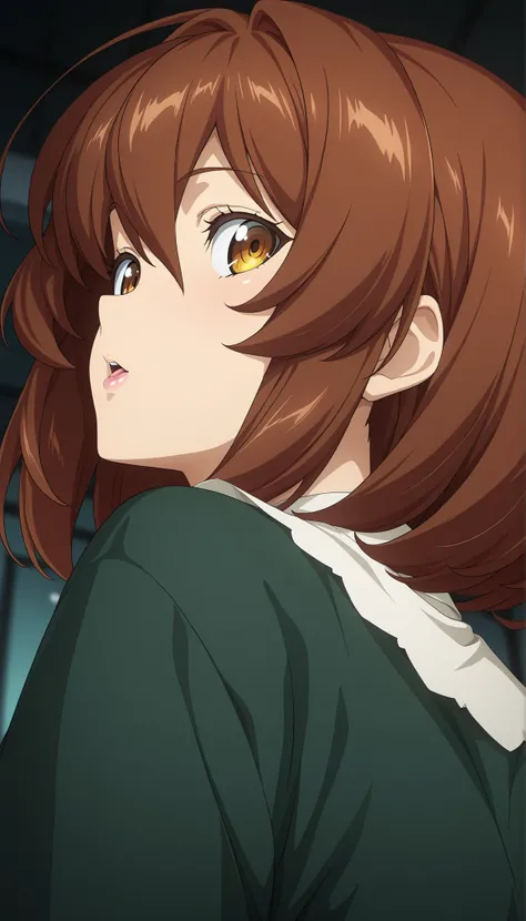 masterpiece, Highest Quality, Very Aesthetic, movie quality, depth of field,soft saturation, focused on the target, Anime Screenshot, anime painted,official style in deep green, 
1girl, solo,  Lick Your Lips,Looking Back, from below,