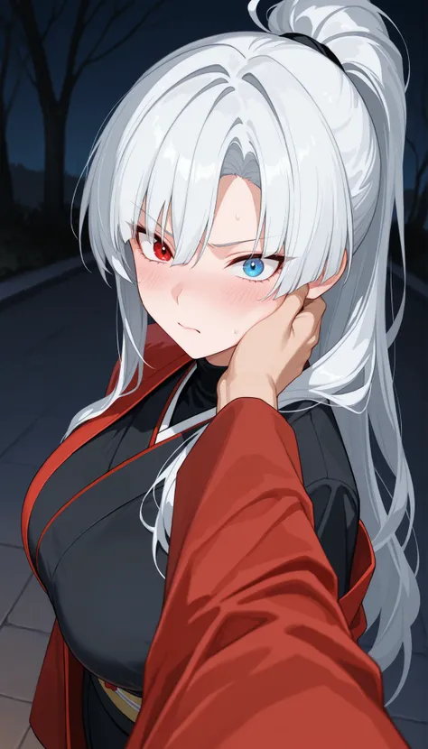 best quality, masterpiece, absurdres, 1girl, solo, heterochromia, red_eye, blue_eye, white_hair, long_sleeves, large_breasts, tall, mature_female, long_hair, red haori, black_kimono, turtleneck, asymmetrical_bangs, tsurime, formal_clothes, ponytail, pov, p...