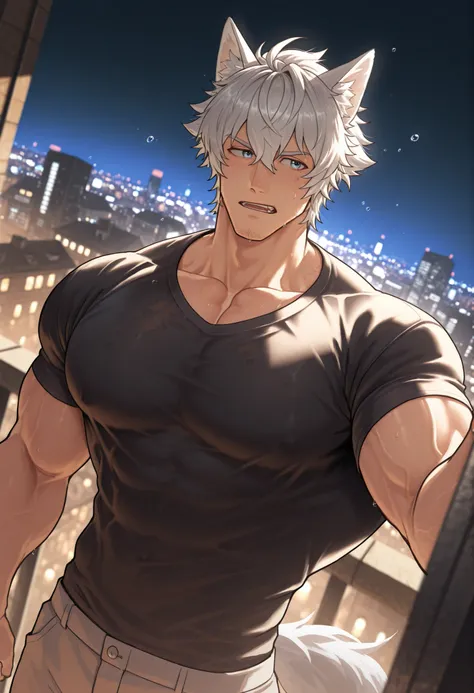 1 , alone)), wolf ears and tail, wearing a jacket, with a black shirt, looking at the city lights, in a city at night, city lights, looking the city lights, view from a good angle , water droplets in the air, high resolution, masterpiece, ((short hair )) ...