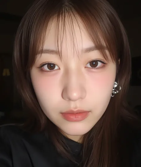 habu_mizuho_flux_
