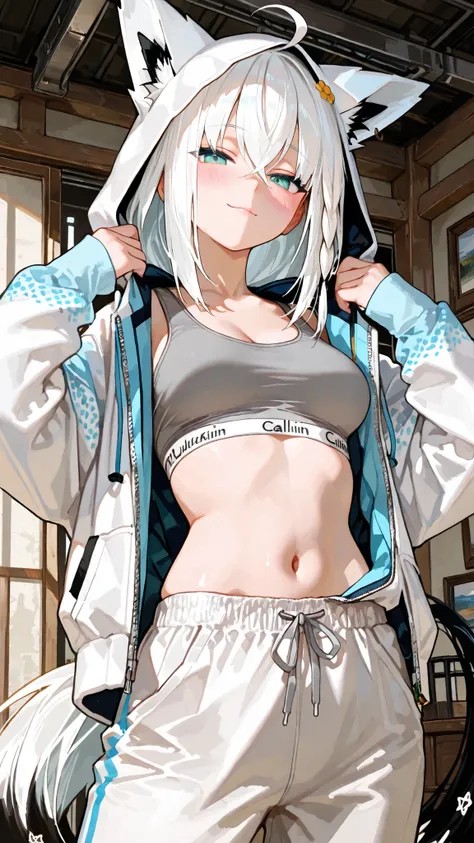 1 sexy gal , Shirakami Fubuki_(ホロライブ), solo, (masterpiece, top quality, highly detailed depiction, incredibly high resolution, high quality anime picture), (voluminous A-line silhouette), (seductive gestures),
A young woman is seen wearing a comfortable,...