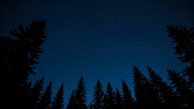 A realistic photo of a clear November night sky seen through the sparse silhouettes of tall conifer trees. The thin branches and needles create delicate patterns, allowing countless stars to shine vividly through the gaps. The Milky Way is faintly visible,...