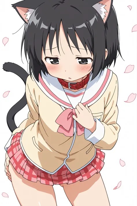 ((from above)),((fidgeting)),((face focus)),nsfw,((anime syale)),score_9, score_8_up, score_7_up, source_anime,shinonome nano,yasuna oribe,short hair, (black eyes),half-closed eyes,(black hair),black Cat ears,black Cat tail,((red leather collar)),(white ba...