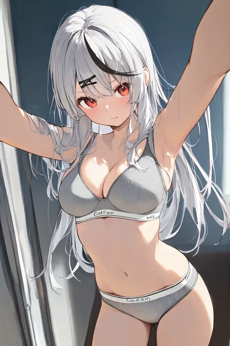 masterpiece, top quality, silver hair,red eyes long hair, grey Calvin Klein bra grey Calvin Klein panties split