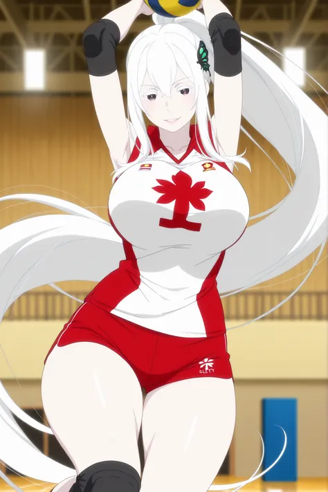 anime screencap, anime coloring, detailed face, masterpiece, best quality, very aesthetic, absurdres, volumetric lighting, echidna, 1girl, adult female, motherly, medium head, pale skin, absurdly long hair, ponytail , sidelocks ,white hair, black butterfly...