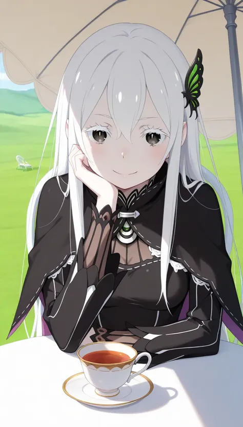 Echidna