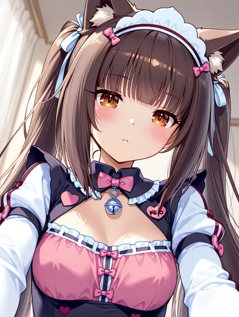 ショコラ (chocola) | ネコぱら (nekopara) v1