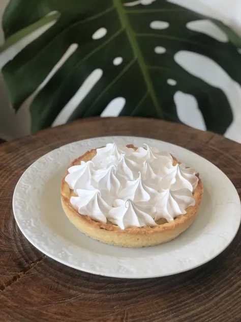 Pie In The Face: First Attempt