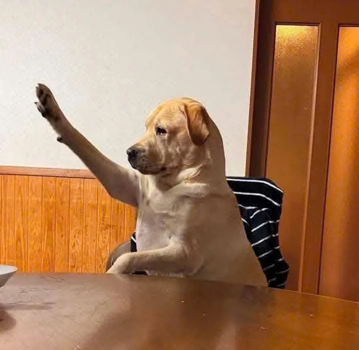 Tiêu đề hay nhất chính là không có tiêu đề :)))