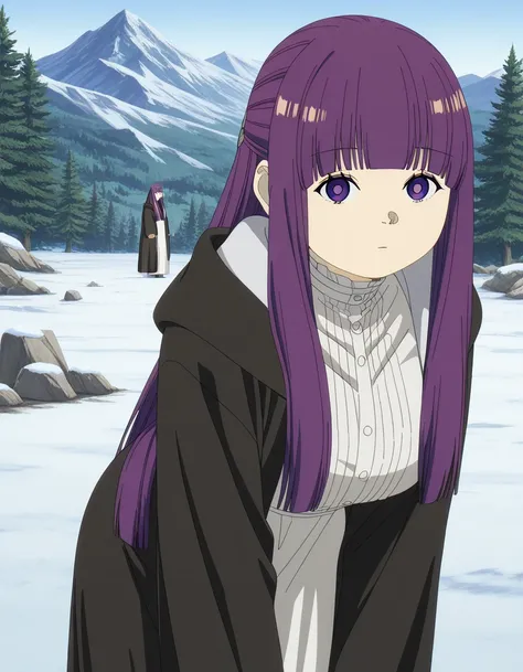 Fern (フェルン) - Frieren: Beyond Journey's End (葬送のフリーレン) Anime s1