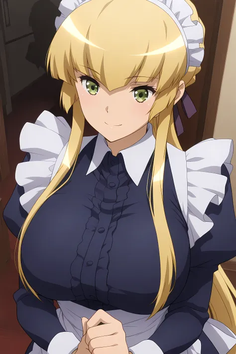 Angela Johnson - Seiken Tsukai no World Break - IllustriousXL v1