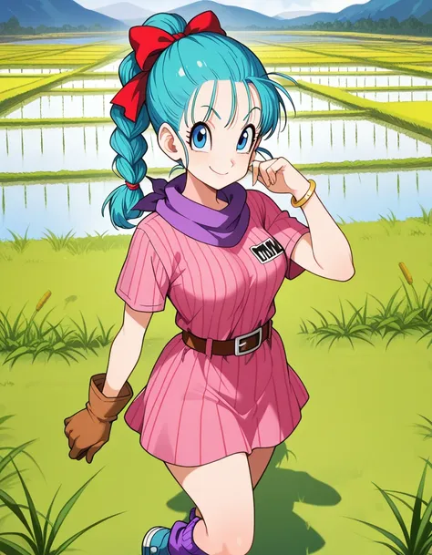 Bulma (ブルマ) - Dragon Ball (ドラゴンボール) booru