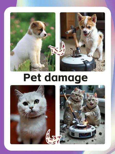 Animais de estimação amam a destruição