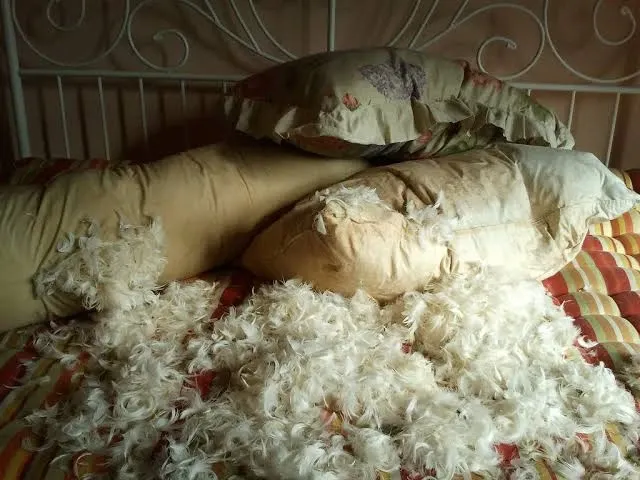 PILLOW FIGHT 0.5 v0.1
