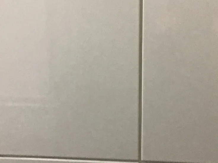 The wall