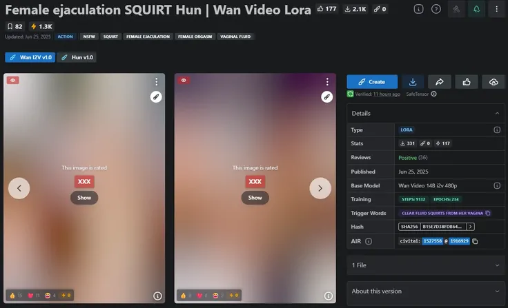   Wan Video Lora
