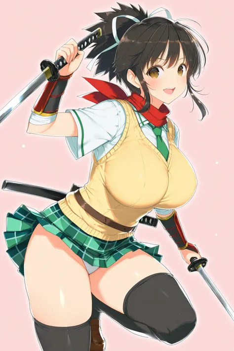 27 in 1，Senran kagura/闪乱神乐，Yaegashi Nan/八重樫南 - Artist Style illustrious XL_v1.0