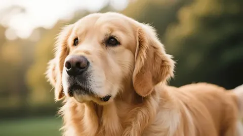 Testen, ob Sie Yanjiang Kou sehen können, ob Sie geweint haben