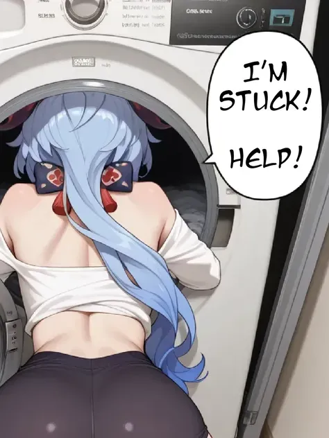 세탁기에 갇힌 (밈)