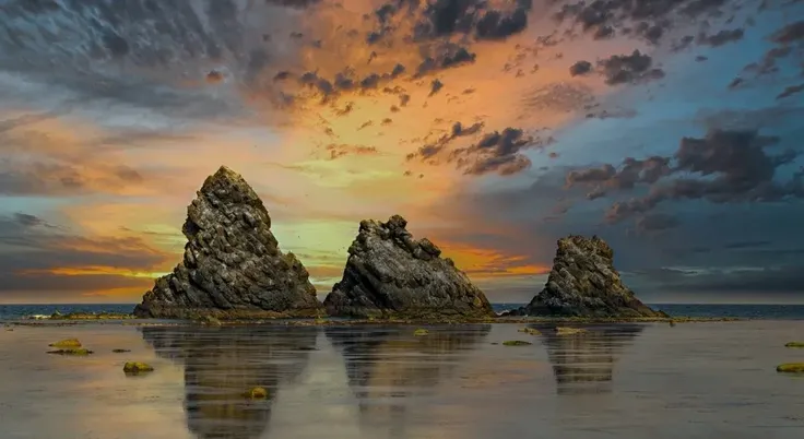 НАРИСУЙ ЖИЗНЬ