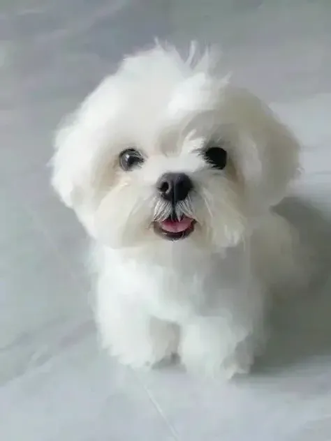 epiCRealism 图像生成