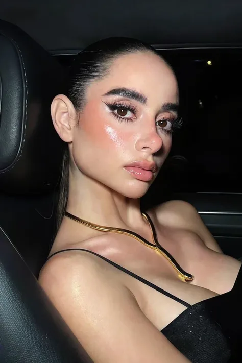 SindyQ ZIT alpha v1.0