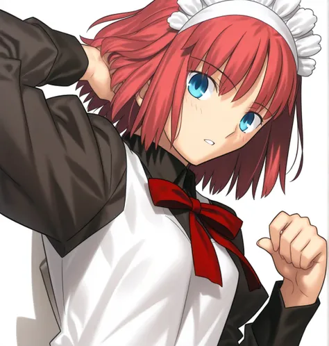 hisui_tsukihime IIlustrious v1.0